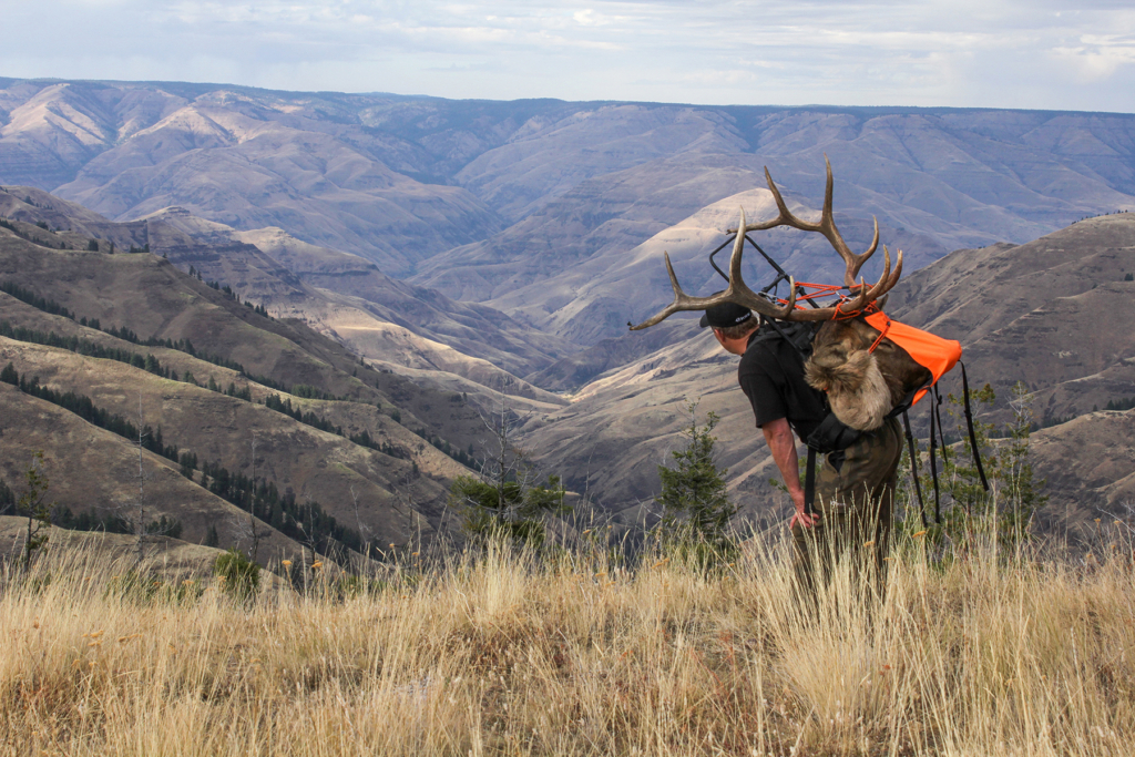 Go Gutless For Elk And Other Big Game