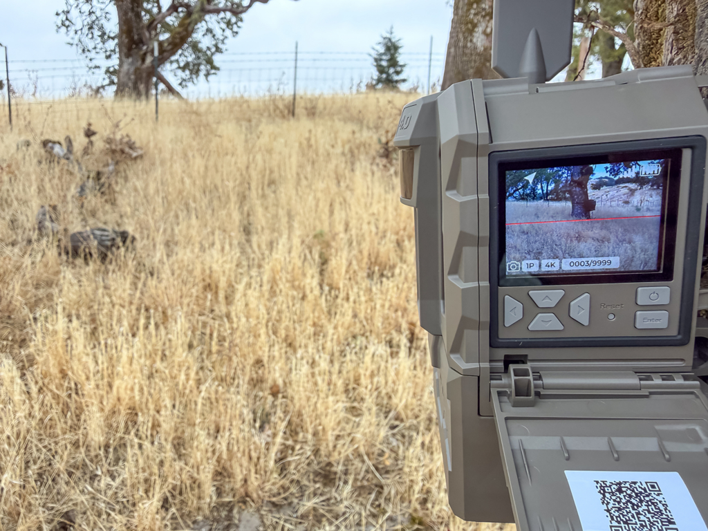 Great Cell Cams, Optics, And Ammo